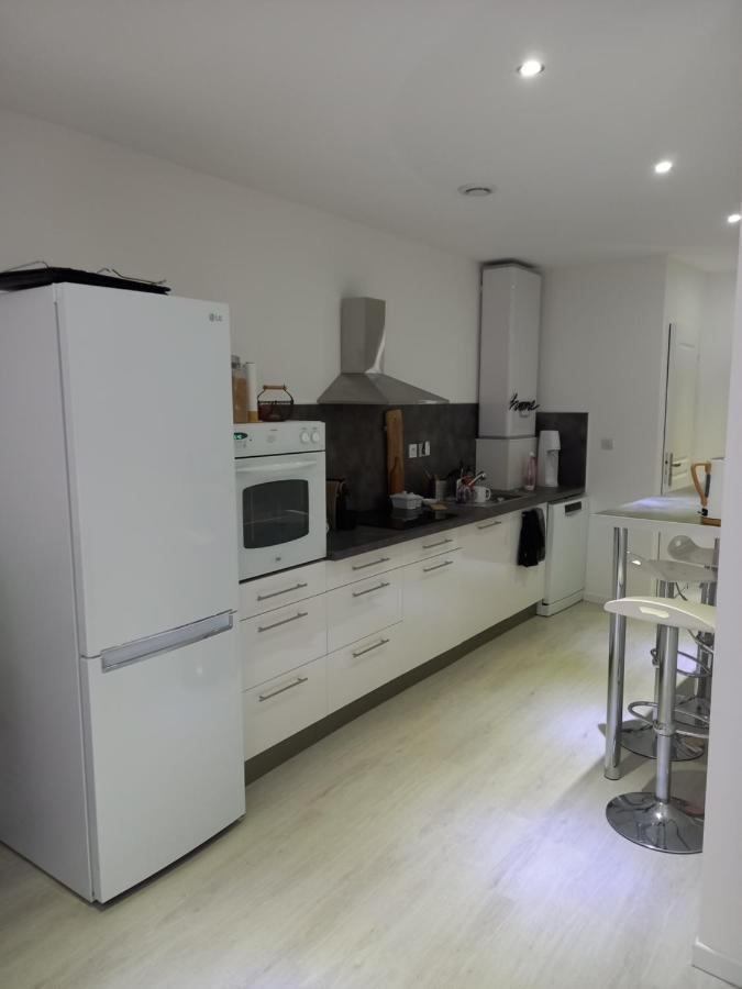 Tres Bel Appartement Condrieu Ngoại thất bức ảnh