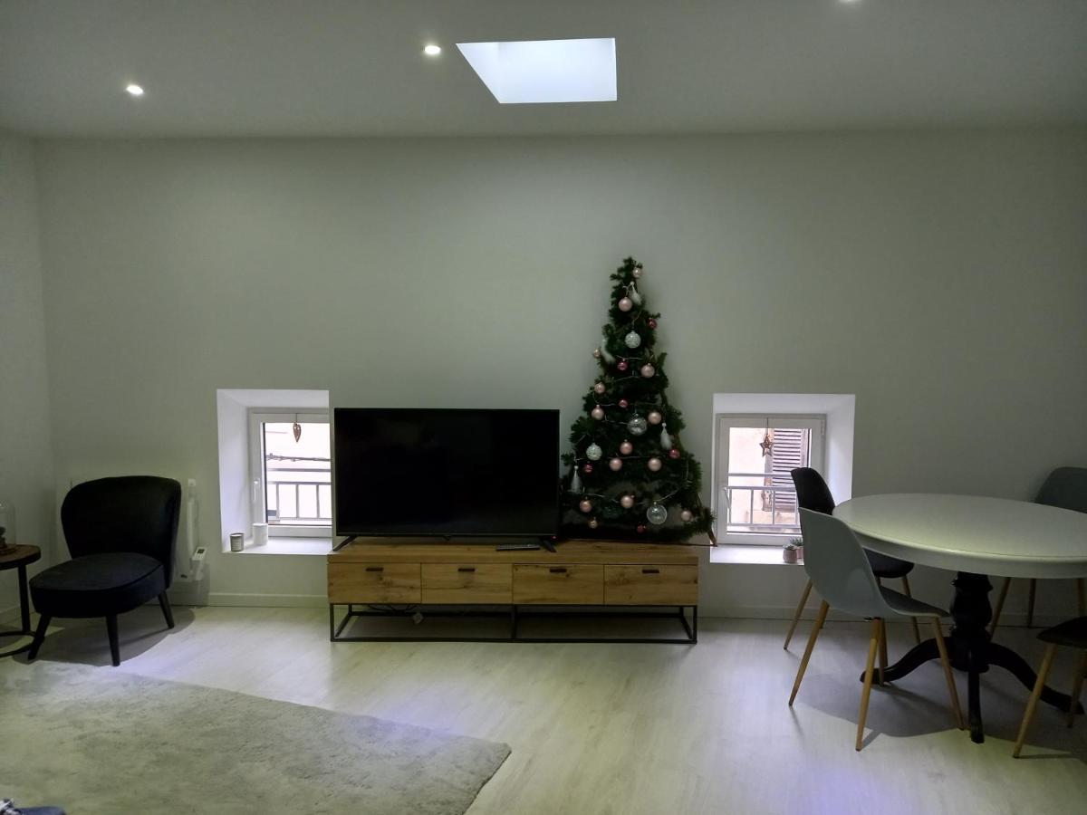Tres Bel Appartement Condrieu Ngoại thất bức ảnh